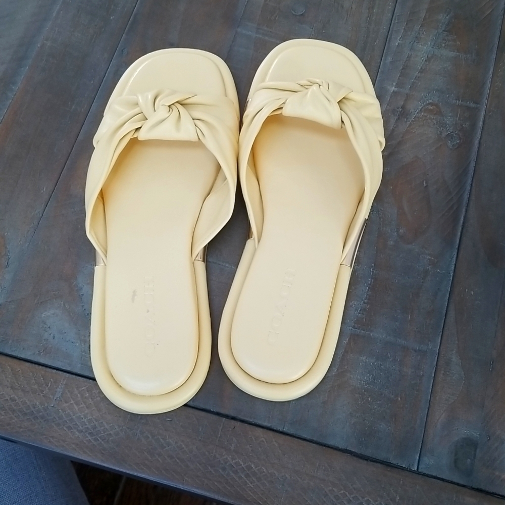 Coach Slides